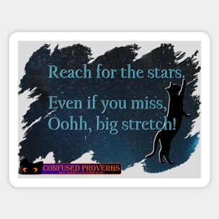 Reach For The Stars Magnet